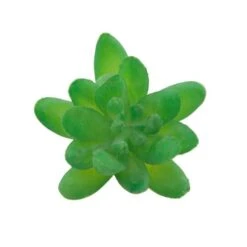 Flora Bunda® Green Small Little Gem Succulent Pick, 12ct. -Michaels Shop D581966S 2