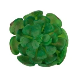 Flora Bunda® Small Echeveria Succulent Pick, 12ct. -Michaels Shop D581967S 1 1