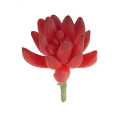 Flora Bunda® Red Small Little Gem Succulent Pick, 12ct.