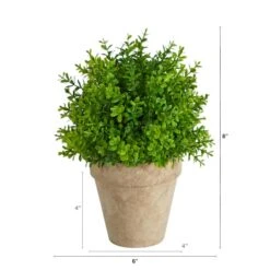8'' Boxwood Artificial Plant In Decorative Planter -Michaels Shop D590117S 2