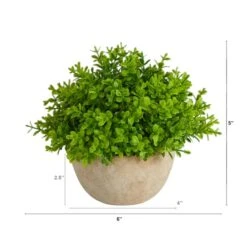 5'' Boxwood Artificial Plant In Decorative Planter -Michaels Shop D590118S 2