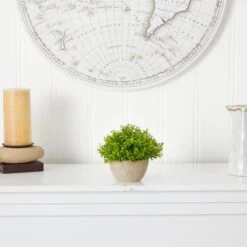 5'' Boxwood Artificial Plant In Decorative Planter -Michaels Shop D590118S 3