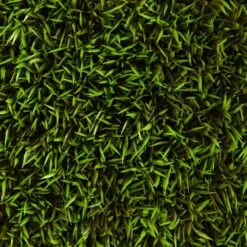 Mini Plum Pine Artificial Wall Mat, 6ct. 12 Mini Plum Pine Artificial Wall Mat, 6ct. -Michaels Shop D590127S 14