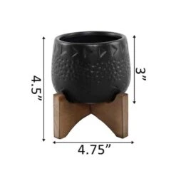 Flora Bunda 3.5" Matte Black Caveman Ceramic On Stand 5 Flora Bunda 3.5" Matte Black Caveman Ceramic On Stand -Michaels Shop D599999S 2