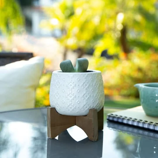 Flora Bunda 3.5" Matte White Indian Ceramic On Stand 4 Flora Bunda 3.5" Matte White Indian Ceramic On Stand - Image 4