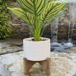 Flora Bunda® 5" Wavy Ceramic Planter On Wood Stand 6 Flora Bunda® 5" Wavy Ceramic Planter On Wood Stand -Michaels Shop D600003S 3