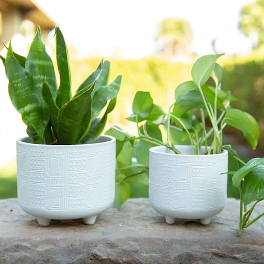 Flora Bunda® Hiero Footed Planter Set 3 Flora Bunda® Hiero Footed Planter Set - Image 3
