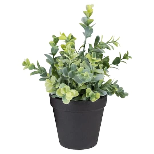 Northlight 10" Green Chinaberry Plant In Black Pot 2 Northlight 10" Green Chinaberry Plant In Black Pot - Image 2