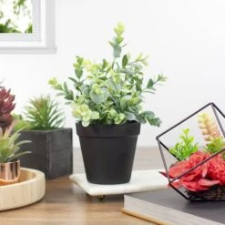 Northlight 10" Green Chinaberry Plant In Black Pot 8 Northlight 10" Green Chinaberry Plant In Black Pot -Michaels Shop D602892S 2