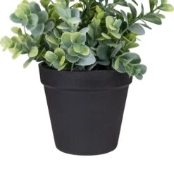 Northlight 10" Green Chinaberry Plant In Black Pot 9 Northlight 10" Green Chinaberry Plant In Black Pot -Michaels Shop D602892S 3