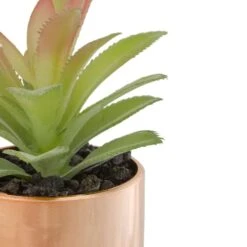 Northlight 5" Green Aloe Plant In Rose Gold Pot 9 Northlight 5" Green Aloe Plant In Rose Gold Pot -Michaels Shop D602895S 4