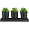 Northlight 10" Potted Succulents With Wood Planter Set