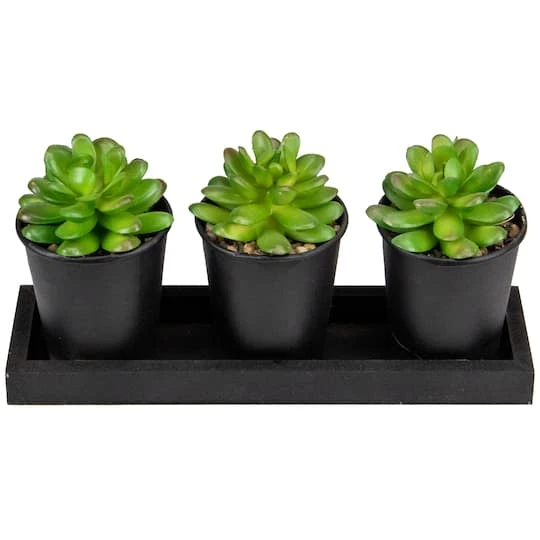 Northlight 10" Potted Succulents With Wood Planter Set 3 Northlight 10" Potted Succulents With Wood Planter Set - Image 3