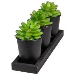 Northlight 10" Potted Succulents With Wood Planter Set 9 Northlight 10" Potted Succulents With Wood Planter Set -Michaels Shop D602907S 3