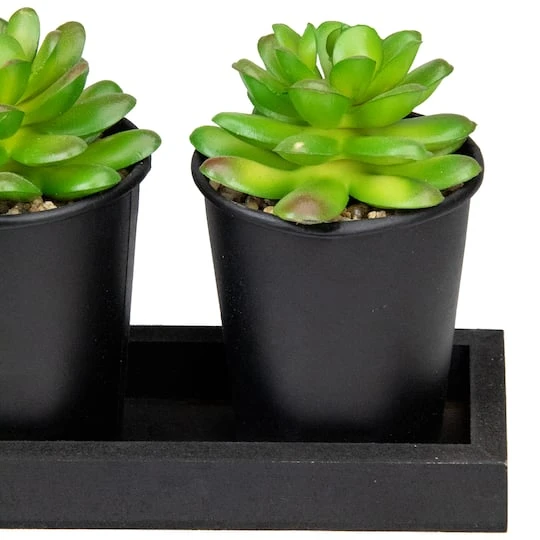 Northlight 10" Potted Succulents With Wood Planter Set 5 Northlight 10" Potted Succulents With Wood Planter Set - Image 5