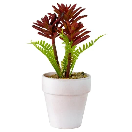 Northlight 8" Red And Green Succulent Fern In Ceramic White Pot 2 Northlight 8" Red And Green Succulent Fern In Ceramic White Pot - Image 2