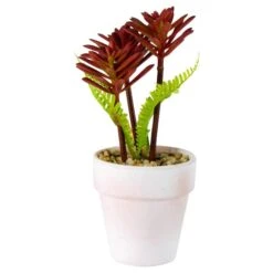 Northlight 8" Red And Green Succulent Fern In Ceramic White Pot 7 Northlight 8" Red And Green Succulent Fern In Ceramic White Pot -Michaels Shop D602991S 2