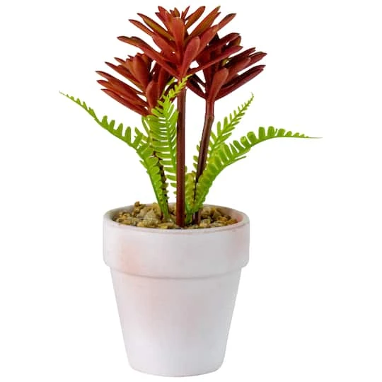 Northlight 8" Red And Green Succulent Fern In Ceramic White Pot 4 Northlight 8" Red And Green Succulent Fern In Ceramic White Pot - Image 4