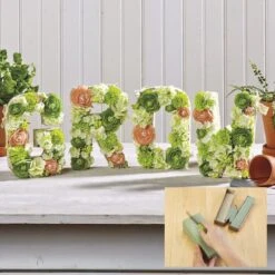 FloraCraft® DryFoM Floral Desert Block -Michaels Shop D617153S 7