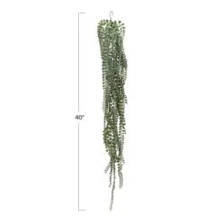 Hello Honey® Hello Honey Green String Of Pearls Plant