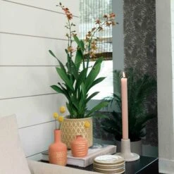 Hello Honey® Gold Stoneware Pots With Geometric Pattern Set -Michaels Shop D722073S 4