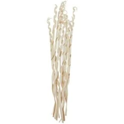 Cream Rolled Palm Leaf Bundle -Michaels Shop D758422S 4