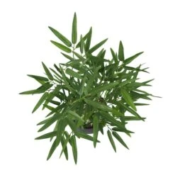 19" Green Foliage Artificial Plant With Black Pot -Michaels Shop D760288S 3