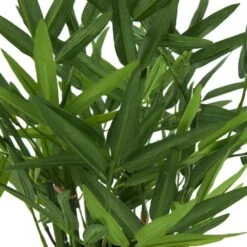 13" Green Faux Foliage Artificial Plant With Black Pot -Michaels Shop D760290S 5