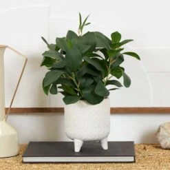 14" Faux Foliage Artificial Plant In White Pot -Michaels Shop D762322S 10