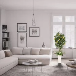 6ft. Artificial Lemon Tree In White Decorative Pot -Michaels Shop D763730S 2