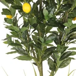 6ft. Artificial Lemon Tree In White Decorative Pot -Michaels Shop D763730S 7