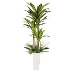 6ft. Artificial Dracaena Fragrans Tree In White Decorative Pot
