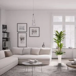 6ft. Artificial Dracaena Fragrans Tree In White Decorative Pot 12 6ft. Artificial Dracaena Fragrans Tree In White Decorative Pot -Michaels Shop D763734S 3