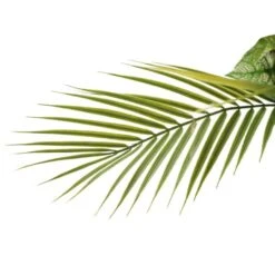 6ft. Artificial Dracaena Fragrans Tree In White Decorative Pot 16 6ft. Artificial Dracaena Fragrans Tree In White Decorative Pot -Michaels Shop D763734S 7