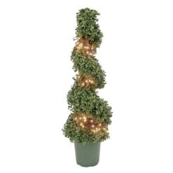 3.5ft. Pre-Lit Boxwood Spiral Topiary -Michaels Shop D766092S 1 1