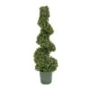 3.5ft. Boxwood Spiral Topiary