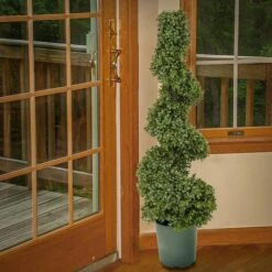 3.5ft. Boxwood Spiral Topiary 7 3.5ft. Boxwood Spiral Topiary -Michaels Shop D766093S 2